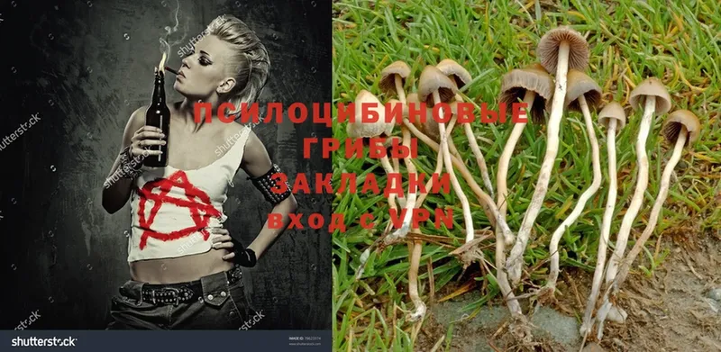 наркотики  Нерчинск  shop телеграм  Псилоцибиновые грибы Magic Shrooms 